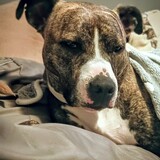 Entry image for Lily Faith