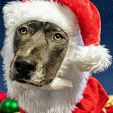 Entry image for Thor