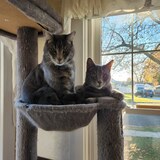 Entry image for Mando and Hector