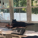 Entry image for Burpee