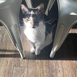 Entry image for Arson