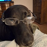 Entry image for Ashton