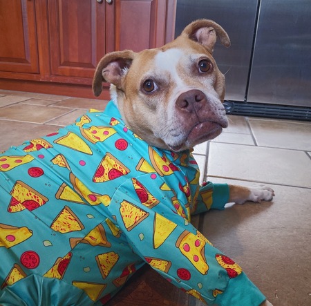 Entry image for Roxie. Clicking this image will show a larger photo