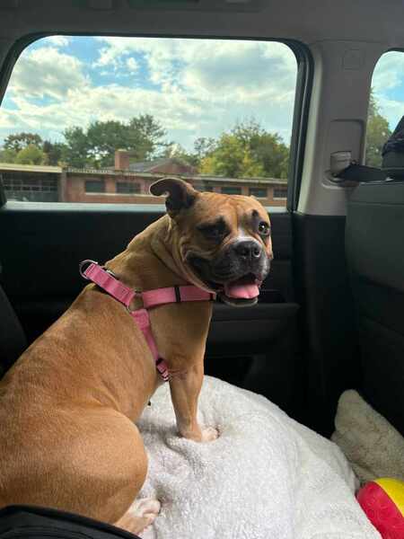 Entry image for Myla. Clicking this image will show a larger photo