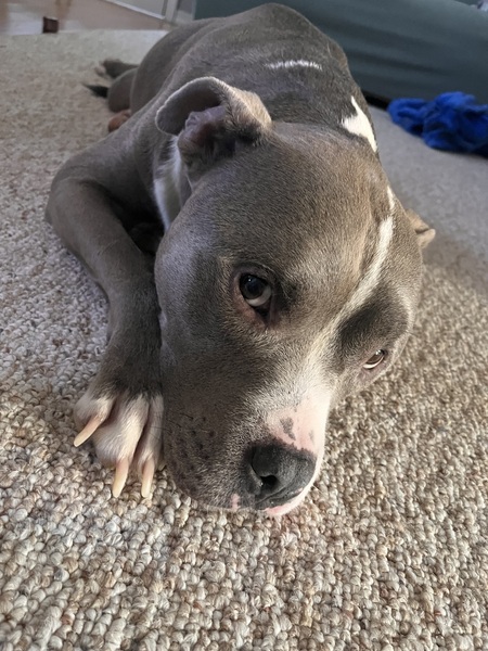 Entry image for Fenny. Clicking this image will show a larger photo