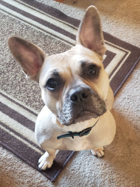 Entry image for Basil Hayden. Clicking this image will show a larger photo