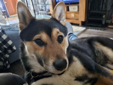 Entry image for Kenji. Clicking this image will show a larger photo