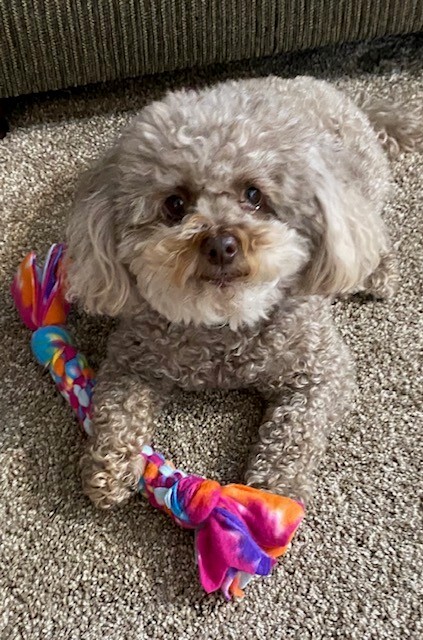 Entry image for Phyllis. Clicking this image will show a larger photo