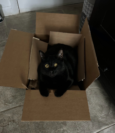 Entry image for Day Day. Clicking this image will show a larger photo