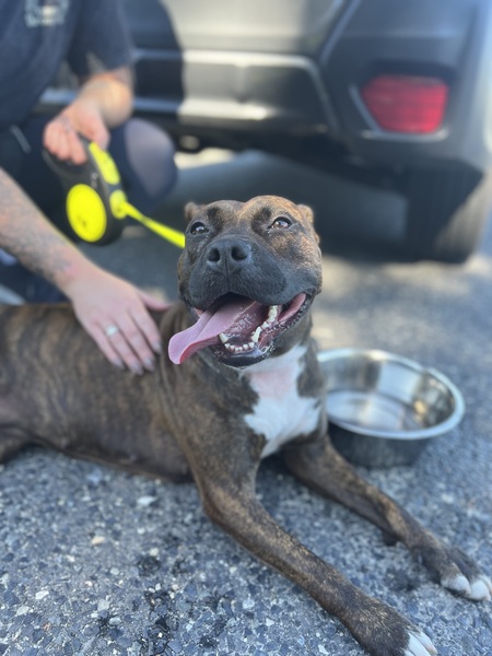 Entry image for Stephy. Clicking this image will show a larger photo