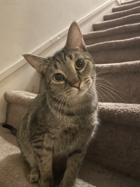 Entry image for Smidge Smiderton. Clicking this image will show a larger photo