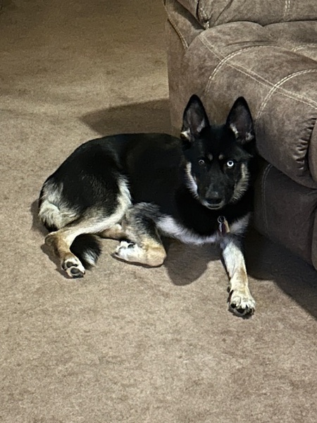 Entry image for Heidi. Clicking this image will show a larger photo