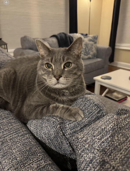 Entry image for Jack. Clicking this image will show a larger photo