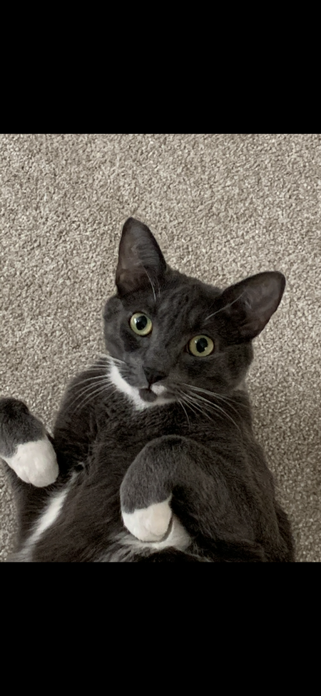 Entry image for Kiva. Clicking this image will show a larger photo