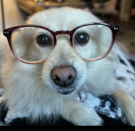 Entry image for Chanel. Clicking this image will show a larger photo