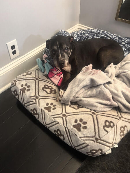 Entry image for Precious. Clicking this image will show a larger photo