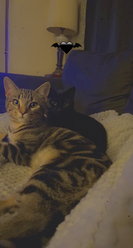 Entry image for Eclipse and Thumbs. Clicking this image will show a larger photo