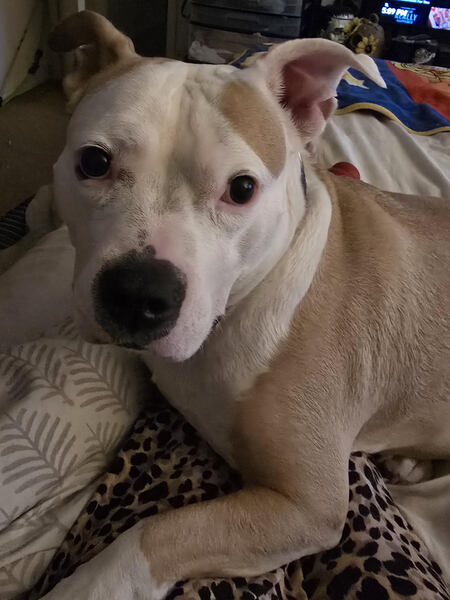 Entry image for Beauty. Clicking this image will show a larger photo