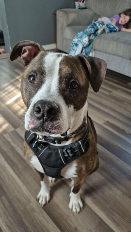 Entry image for Doug. Clicking this image will show a larger photo