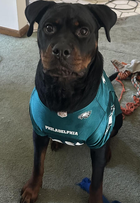 Entry image for Sage. Clicking this image will show a larger photo