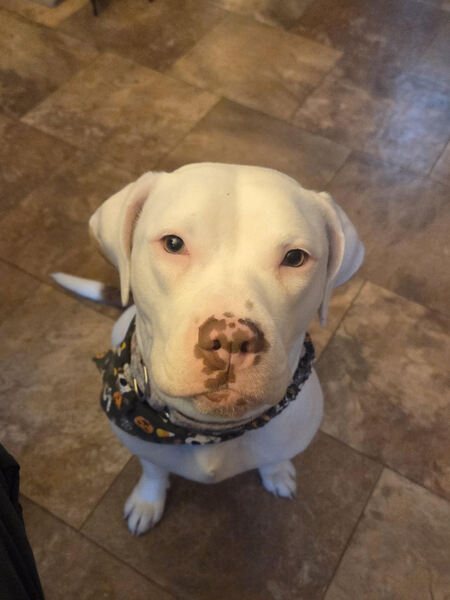 Entry image for Tessa. Clicking this image will show a larger photo