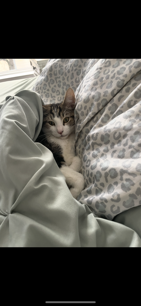 Entry image for Buttons. Clicking this image will show a larger photo