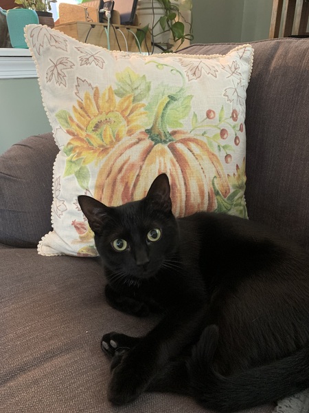 Entry image for Marcie. Clicking this image will show a larger photo