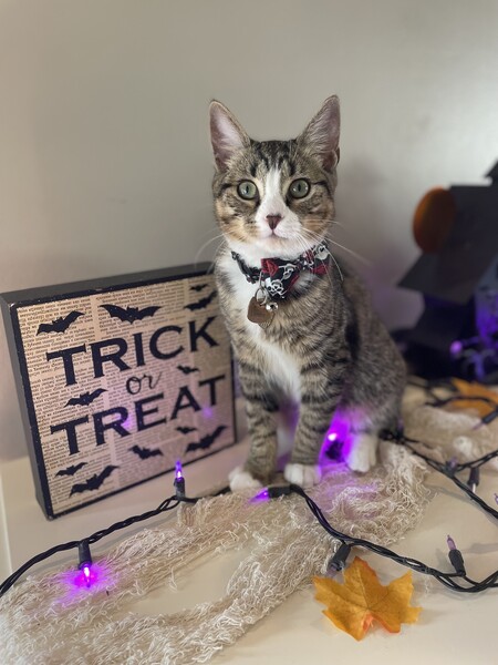 Entry image for London. Clicking this image will show a larger photo