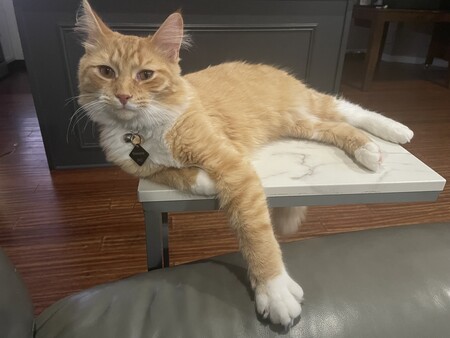 Entry image for Catrick Swazey. Clicking this image will show a larger photo