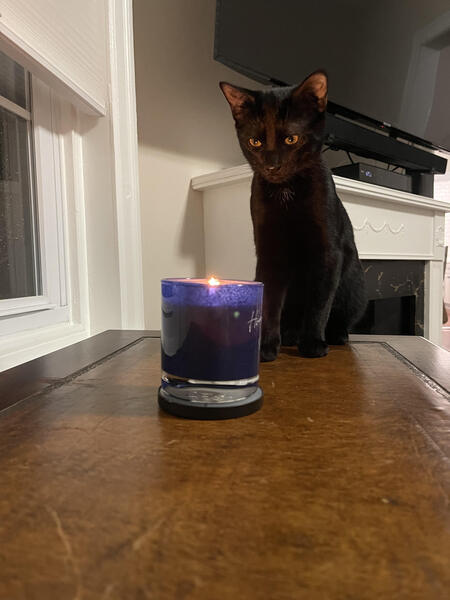 Entry image for Guinness. Clicking this image will show a larger photo