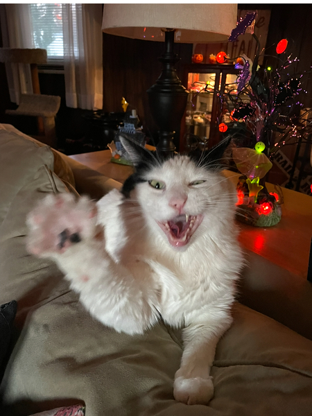 Entry image for Ronny. Clicking this image will show a larger photo