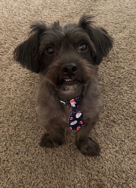 Entry image for Martin. Clicking this image will show a larger photo