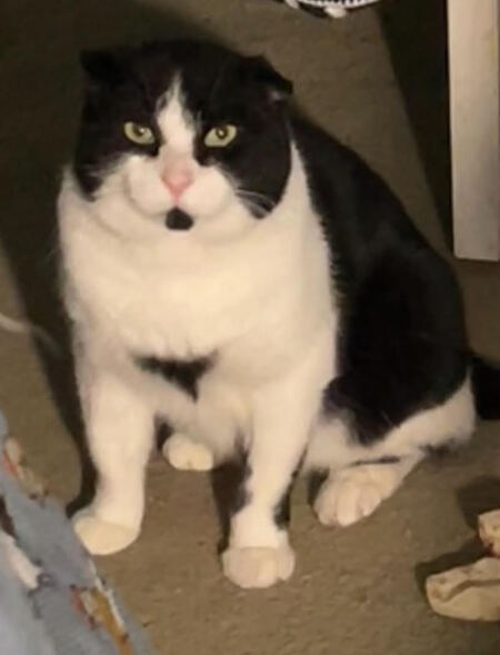 Entry image for Whiskey River. Clicking this image will show a larger photo