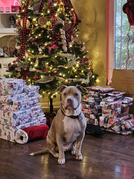 Entry image for Dunkin. Clicking this image will show a larger photo