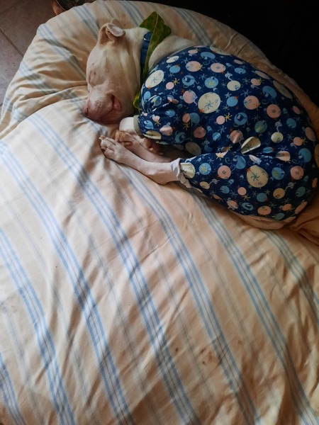 Entry image for Kenny. Clicking this image will show a larger photo