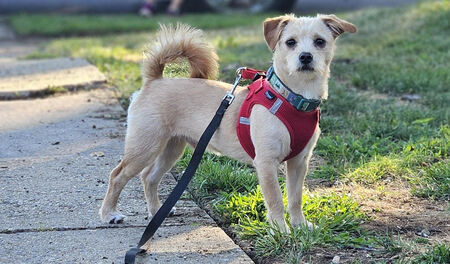 Entry image for Papa. Clicking this image will show a larger photo