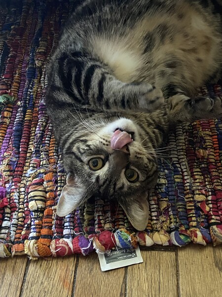 Entry image for Bennie. Clicking this image will show a larger photo