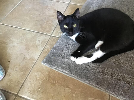 Entry image for Boosty. Clicking this image will show a larger photo