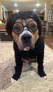 Entry image for Deuce. Clicking this image will show a larger photo