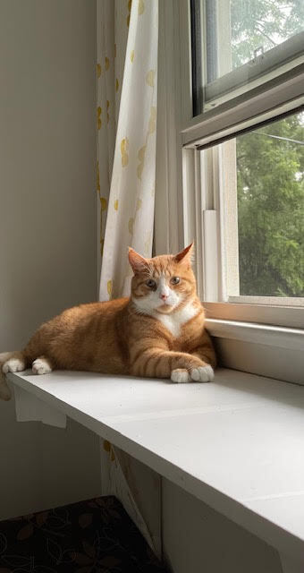 Entry image for Reggie Wright. Clicking this image will show a larger photo