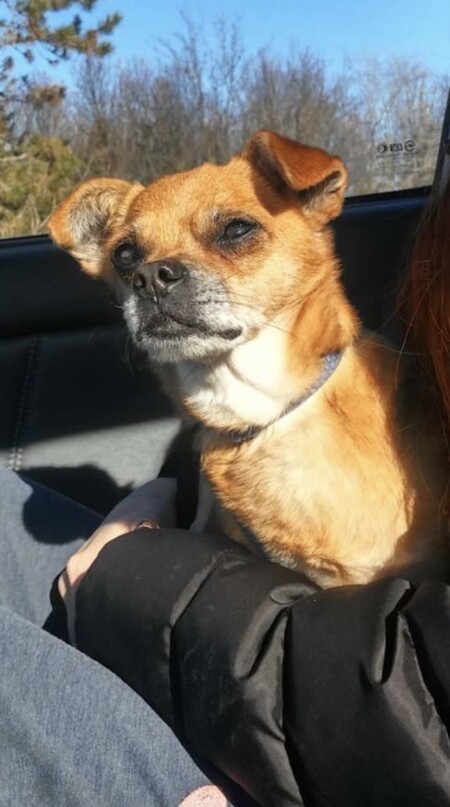 Entry image for Jesse. Clicking this image will show a larger photo