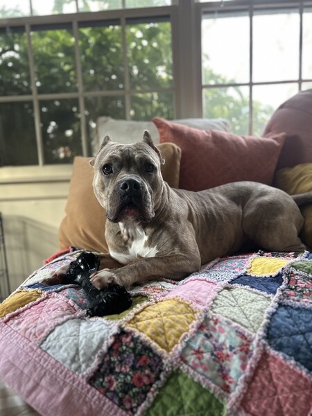 Entry image for Bambina. Clicking this image will show a larger photo