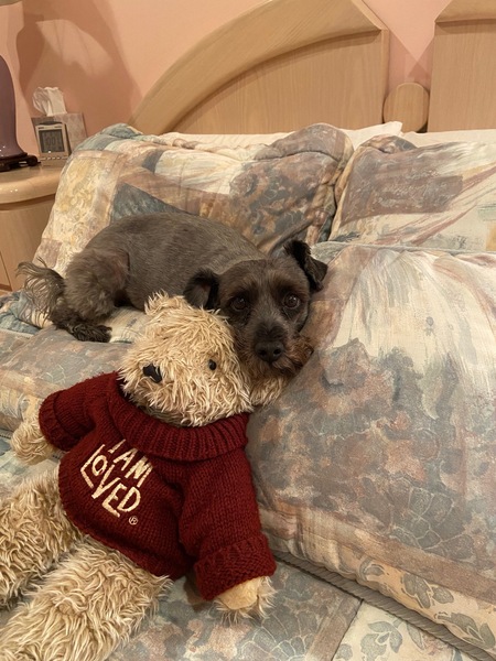 Entry image for Chloe. Clicking this image will show a larger photo