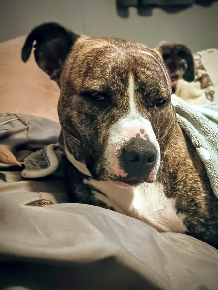 Entry image for Lily Faith. Clicking this image will show a larger photo