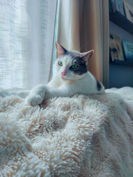 Entry image for Willy. Clicking this image will show a larger photo