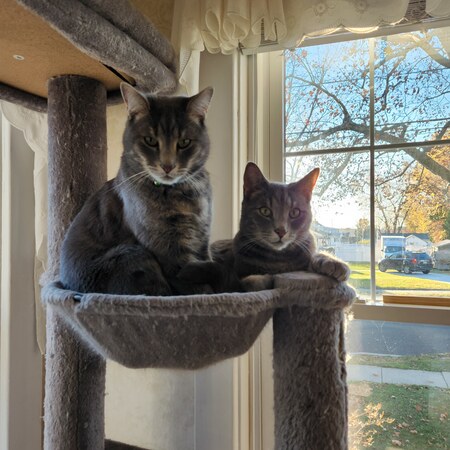 Entry image for Mando and Hector. Clicking this image will show a larger photo