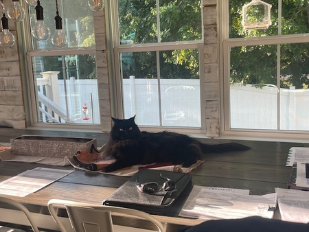 Entry image for Burpee. Clicking this image will show a larger photo