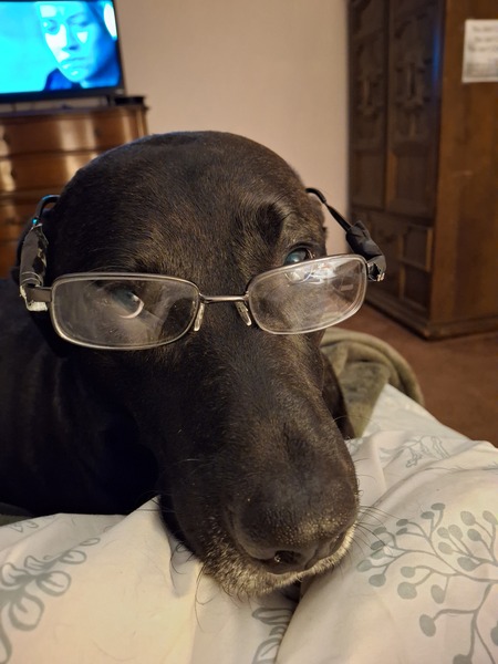 Entry image for Ashton. Clicking this image will show a larger photo