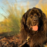 Entry image for Jemma