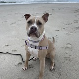 Entry image for Eleanor